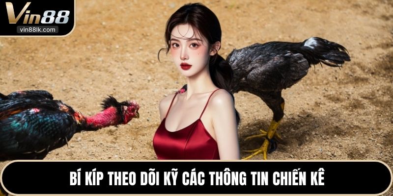 Bí kíp theo dõi kỹ các thông tin chiến kê 