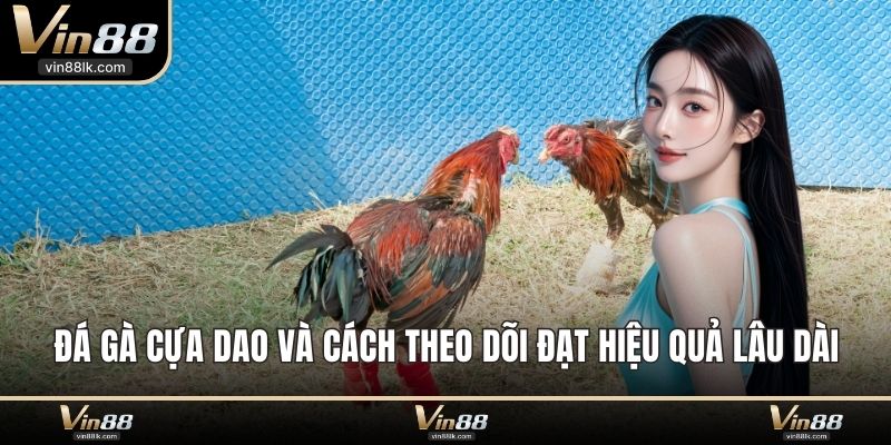 đá gà cựa dao