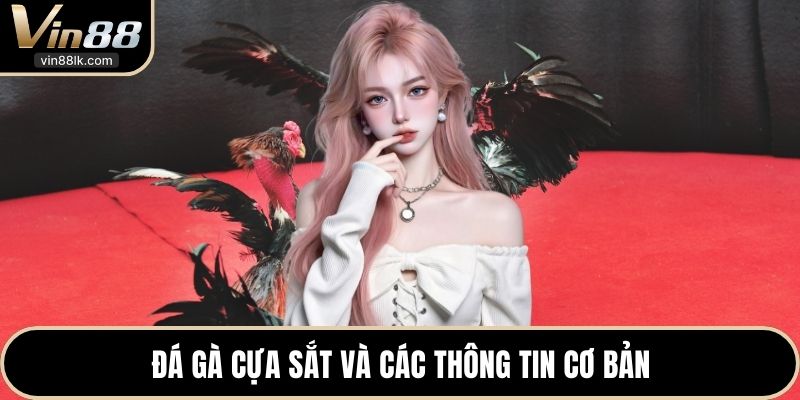Đá gà cựa sắt và các thông tin cơ bản 