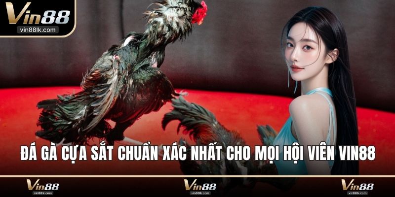 đá gà cựa sắt