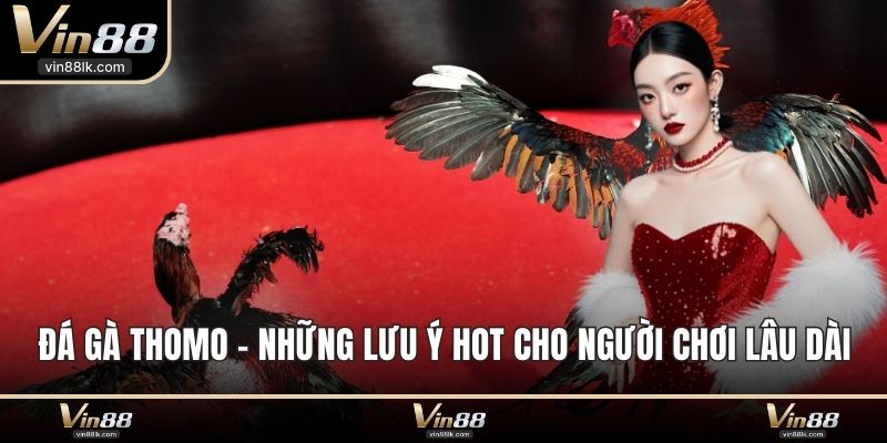 đá gà thomo