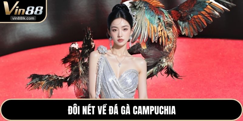 Đôi nét về đá gà Campuchia