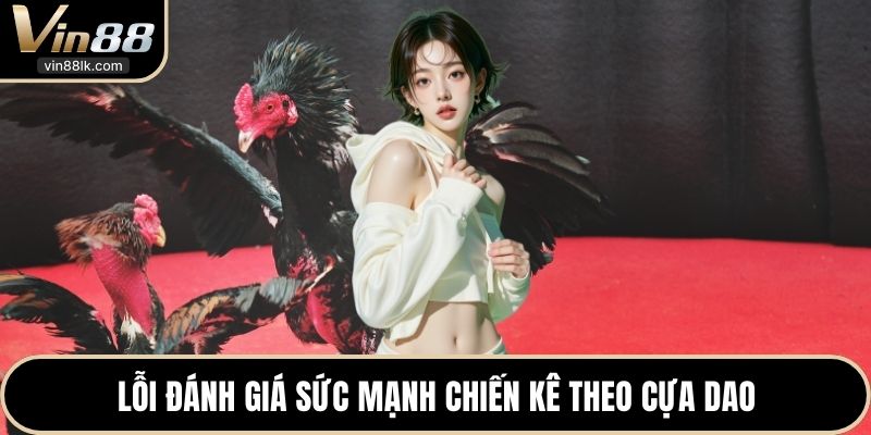 Lỗi đánh giá sức mạnh chiến kê theo cựa dao 