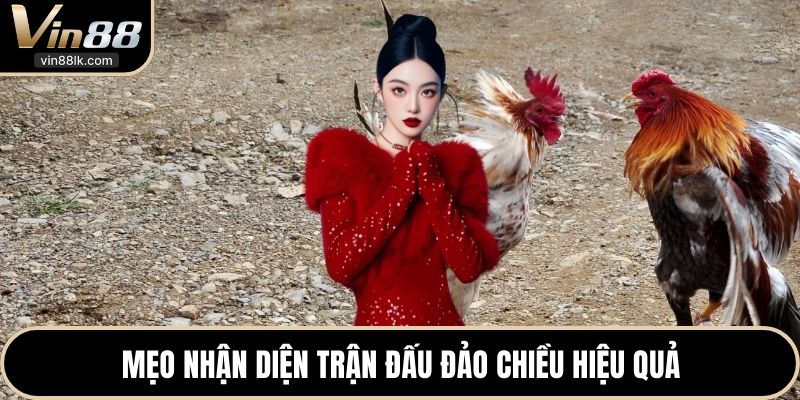 Mẹo nhận diện trận đấu đảo chiều hiệu quả 