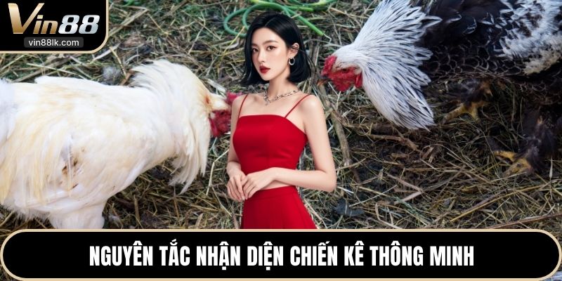 Nguyên tắc nhận diện chiến kê thông minh 