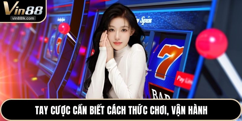 Tay cược cần biết cách thức chơi, vận hành 