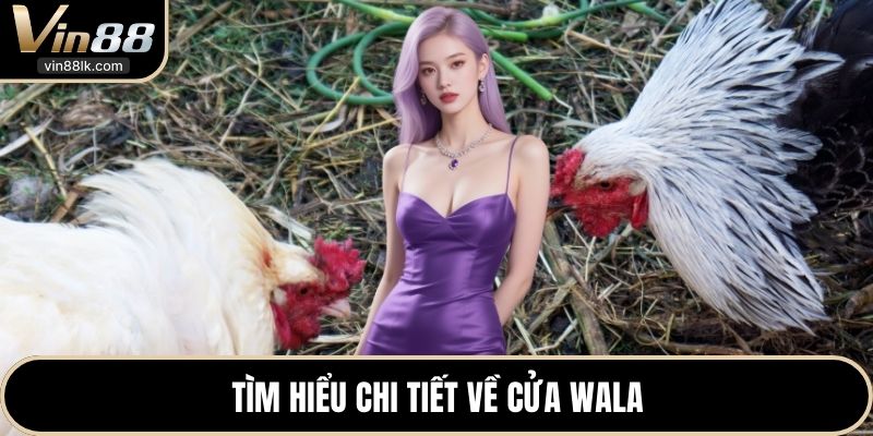 Tìm hiểu chi tiết về cửa Wala 